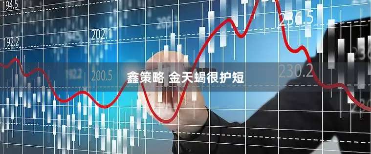 鑫策略 金天蝎很护短